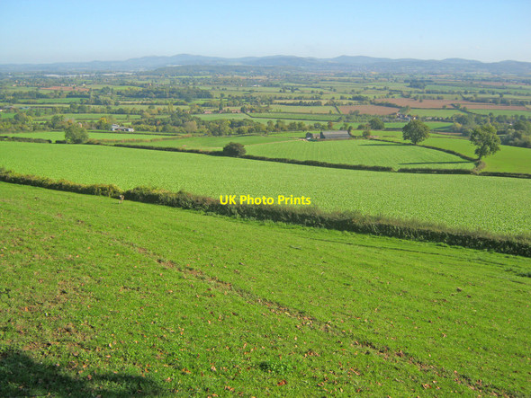 Photo 6"x4" Farmland east of Marcle Hill Rushall\/SO6434 c2010 P1