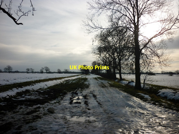Photo 6"x4" A Byway off Baileywood Lane Holme-on-Spalding-Moor c2010