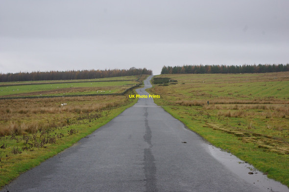 Photo 6"x4" Road (single track) Elsdon\/NY9393 c2010