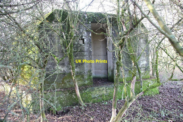 Photo 6"x4" Back through the hedge Brighthampton c2010