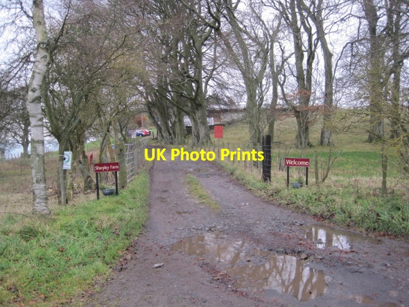 Photo 6"x4" Track to Sharpley Farm Simonburn c2010