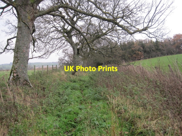 Photo 6"x4" Byway towards Haughton Strothers Barrasford c2010