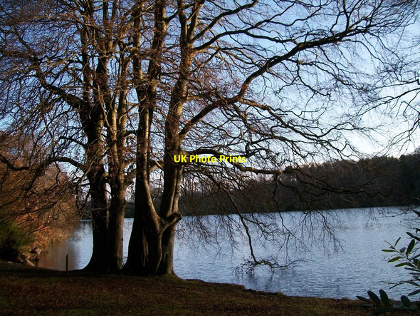 Photo 6"x4" Northern embayment of Castle Lake Castlewellan c2010