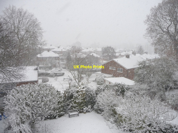 Photo 6"x4" Heavy Snow, London N14 Southgate\/TQ3094 c2010