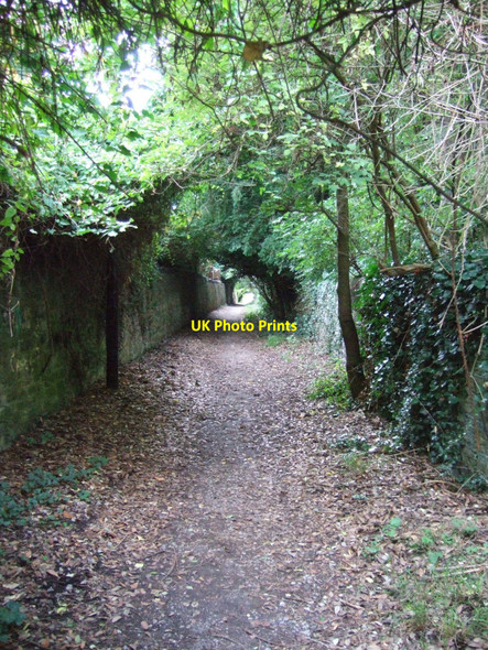 Photo 6"x4" A footpath to Westbury Village Eastfield\/ST5777 c2010