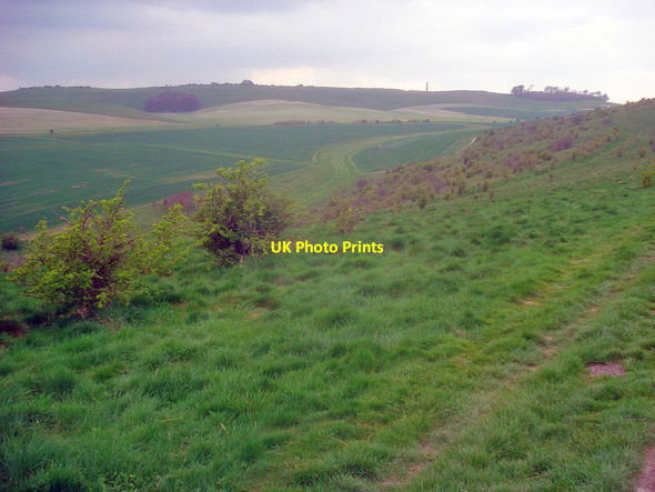 Photo 6"x4" Cherhill Down Yatesbury c2009