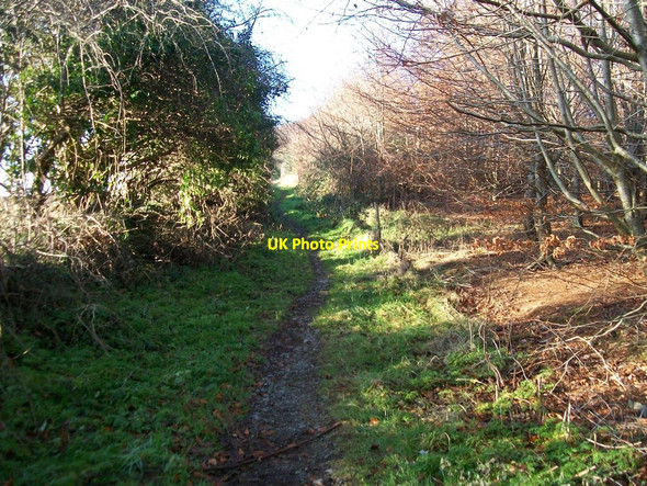 Photo 6"x4" Public footpath on the western perimeter of the Forest Park Castlewellan c2010