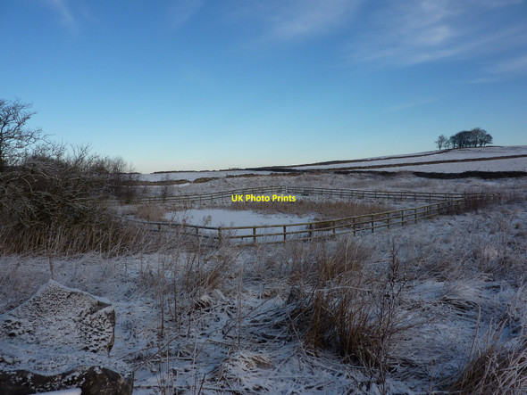 Photo 6"x4" Taddington Moor High Mere Taddington\/SK1471 c2010