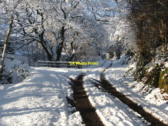Photo 6"x4" Path to Millburn Muir Alexandria c2010