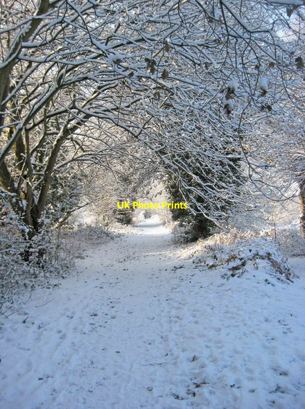 Photo 6"x4" Leapgate Country Park snowscene Stourport-on-Severn c2010