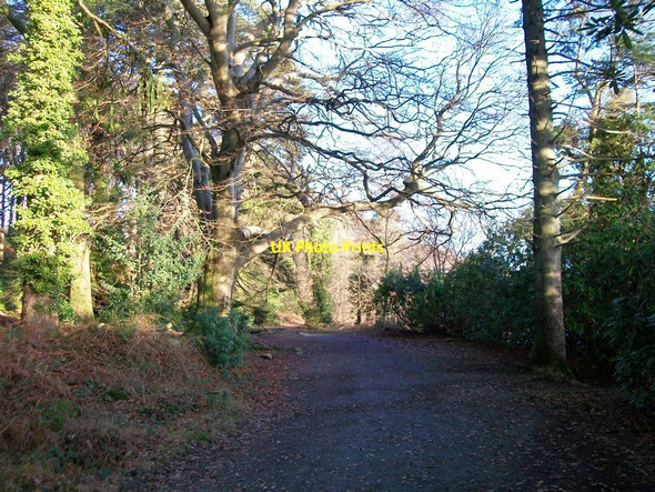 Photo 6"x4" View east along the Lake Walk on the north side of the lake Castlewellan c2010