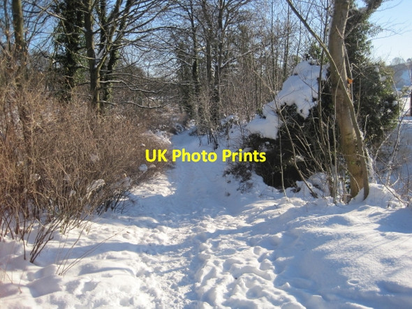 Photo 6"x4" Footpath towards Riding Mill Corbridge c2010