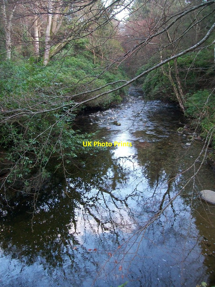 Photo 6"x4" The Shimna River downstream of the Ivy Bridge Newcastle\/J3732 c2010