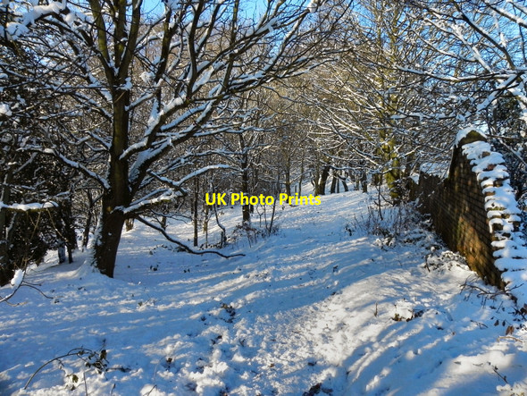Photo 6"x4" Woodland Path Radcliffe\/SD7807 c2010
