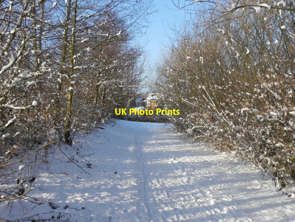 Photo 6"x4" Path To Hollybank Street Radcliffe\/SD7807 c2010
