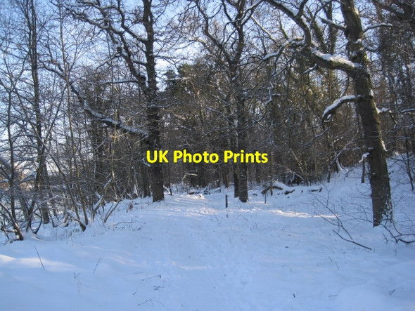 Photo 6"x4" Riverside Footpath near Riding Mill Broomhaugh c2010