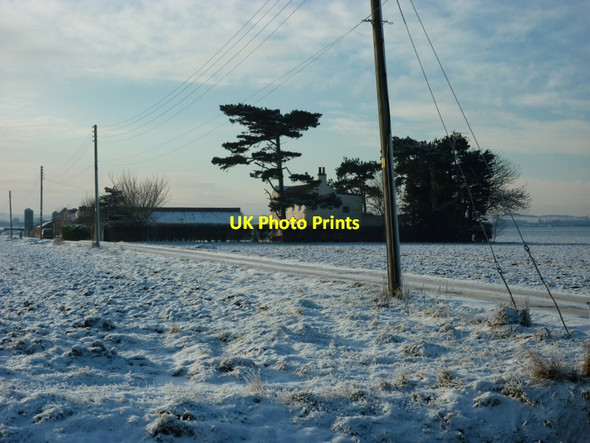 Photo 6"x4" Southfield Turkey Farm near Fulstow Fulstow c2010