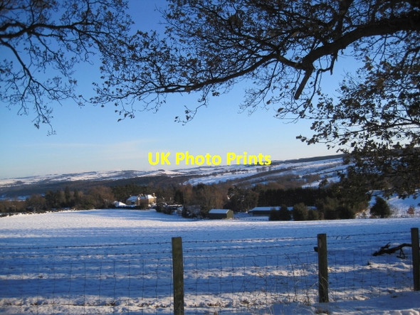 Photo 6"x4" View towards Beauclerc Beauclerc c2010