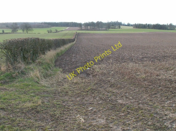 Photo 6"x4" By Westhall Fernie\/NO3115 c2006