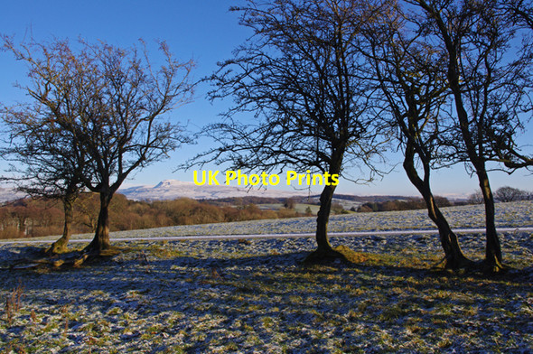 Photo 6"x4" Road to Lodge Farm Tatham\/SD6069 c2010