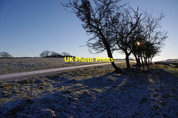 Photo 6"x4" Road to Lodge Farm Tatham\/SD6069 c2010 P1