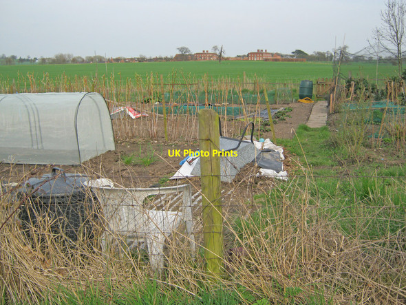 Photo 6"x4" Allotments at Clifton Campville Clifton Campville c2010