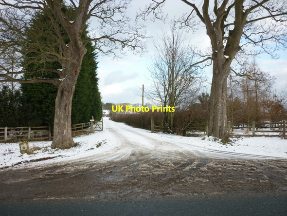 Photo 6"x4" The way to Ulrome Grange near Ulrome, East Yorkshire Lissett c2010