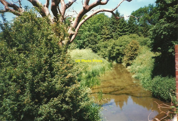 Photo 6"x4" River Eden near Penshurst Penshurst c1995