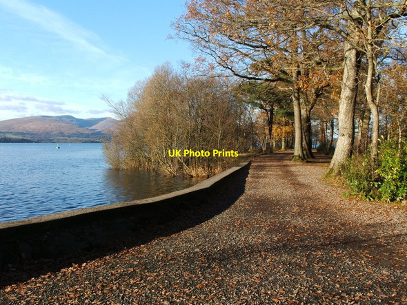 Photo 6"x4" Path in Balloch Castle Country Park Alexandria c2010