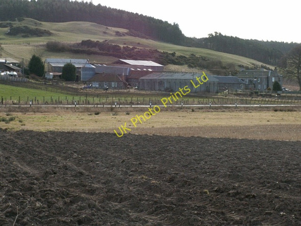 Photo 6"x4" Lindifferon Farm Fernie\/NO3115 c2006