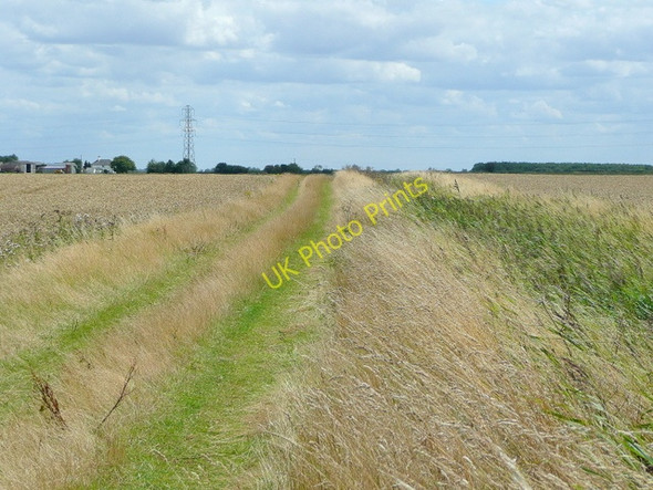 Photo 6"x4" Track to Pepper Hill Farm Tongue End c2009