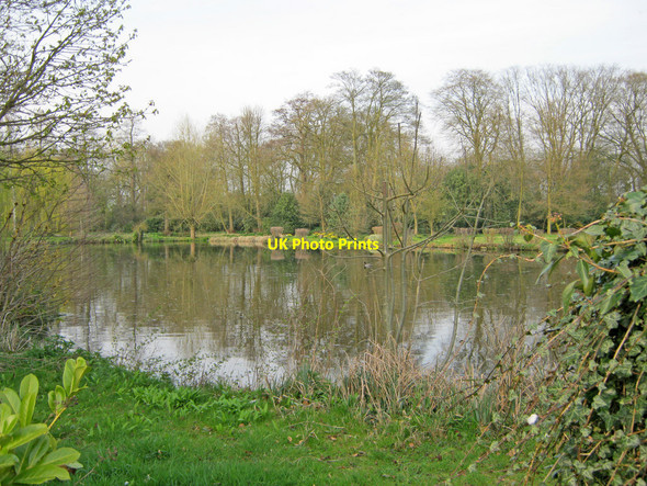 Photo 6"x4" Fish pond at Netherseal Chilcote c2010