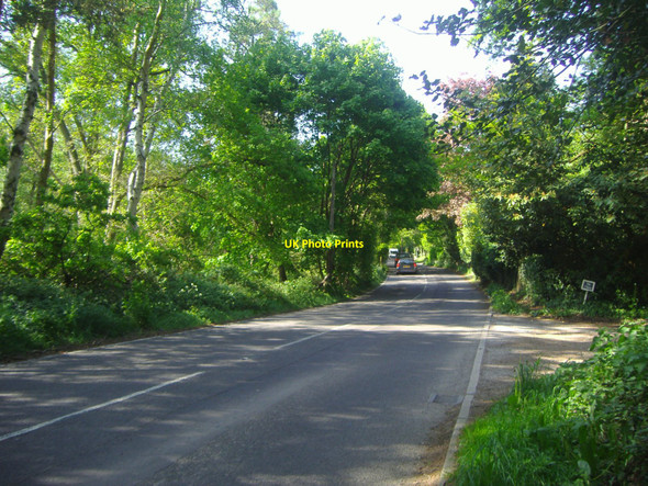 Photo 6"x4" A287 northbound, Churt Crosswater c2009
