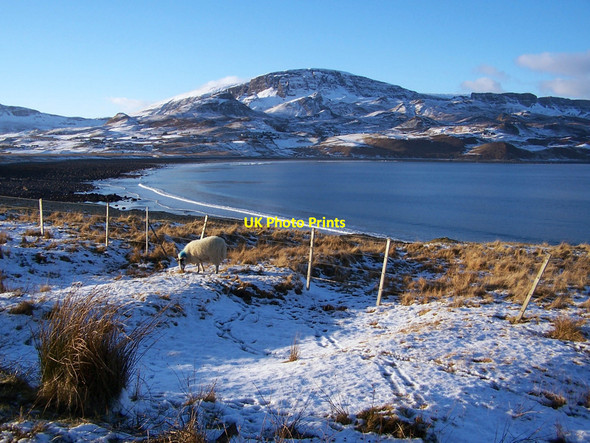 Photo 6"x4" Not much to eat Stenscholl c2010