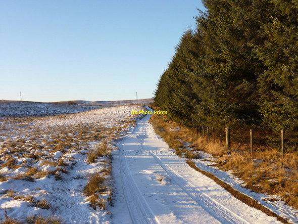 Photo 6"x4" Lossburn Track Blairlogie c2010