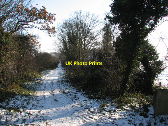 Photo 6"x4" Christmas Day on the Roman Road Babraham c2010