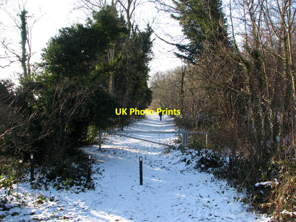 Photo 6"x4" Bridle way Babraham c2010