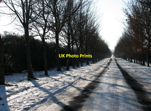 Photo 6"x4" Babraham Road on Christmas Day Fulbourn c2010