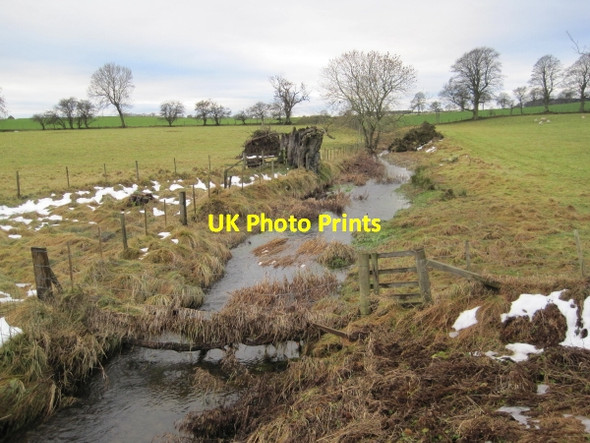 Photo 6"x4" River Blyth Capheaton c2010