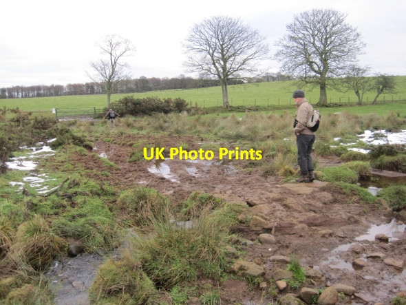 Photo 6"x4" Extremely Muddy Bridleway. Wallridge c2010
