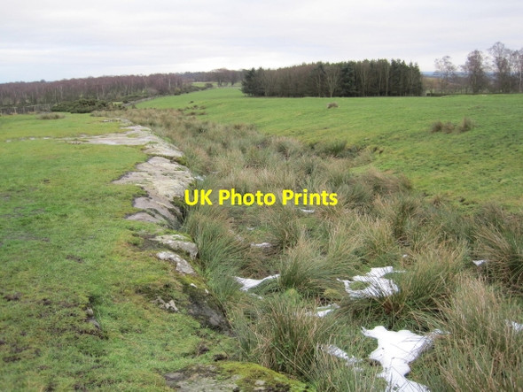 Photo 6"x4" Shaftoe Crags Bolam West Houses c2010
