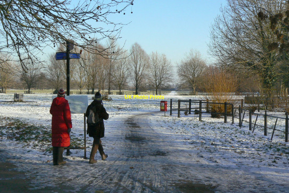 Photo 6"x4" Stourbridge Common Cambridge\/TL4658 c2010