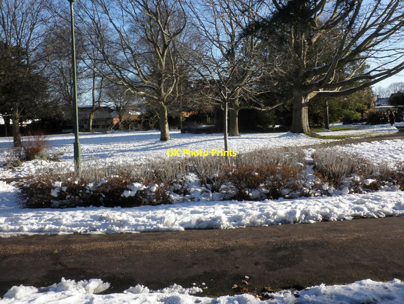 Photo 6"x4" Blenheim Park in the snow Minehead c2010