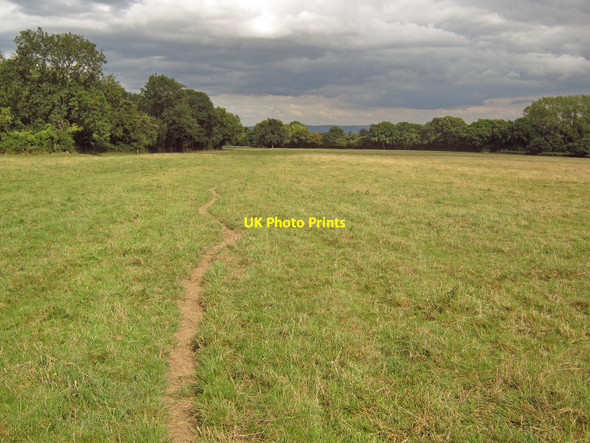 Photo 6"x4" Dairy grassland near Little London Little London\/SO7018 c2010