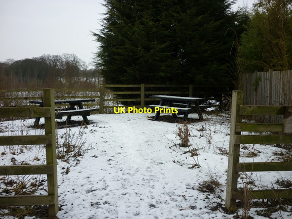 Photo 6"x4" Cherry Sidings Picnic Area #1 Cherry Burton c2010