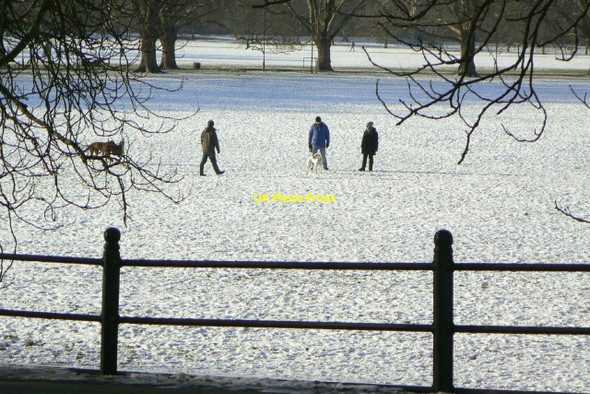Photo 6"x4" On Jesus Green Cambridge\/TL4658 c2010