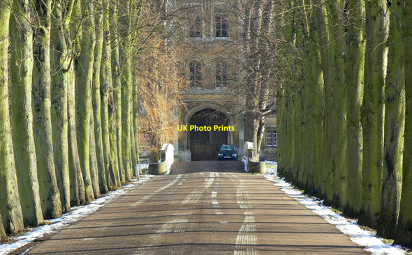 Photo 6"x4" The Avenue Cambridge\/TL4658 c2010