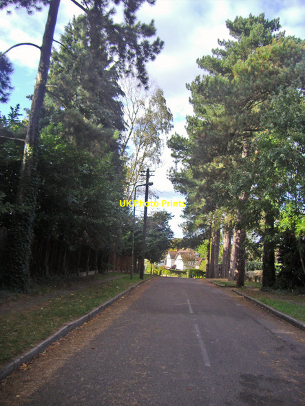 Photo 6"x4" Pine Grove, Totteridge Barnet c2008