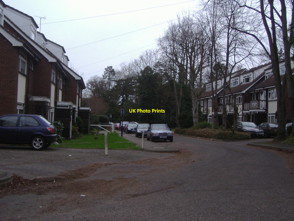 Photo 6"x4" Elm Hatch, Hatch End Pinner c2008