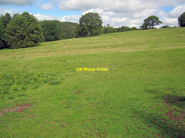 Photo 6"x4" Hopton Park Hollywaste c2010